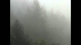 Rend - Inert