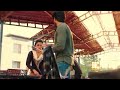 Pengalai Nimirnthu Parthida Geetha Govindam Movie Love Romance Tamil Status Music