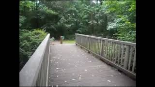 Freakin and Peakin by Luna