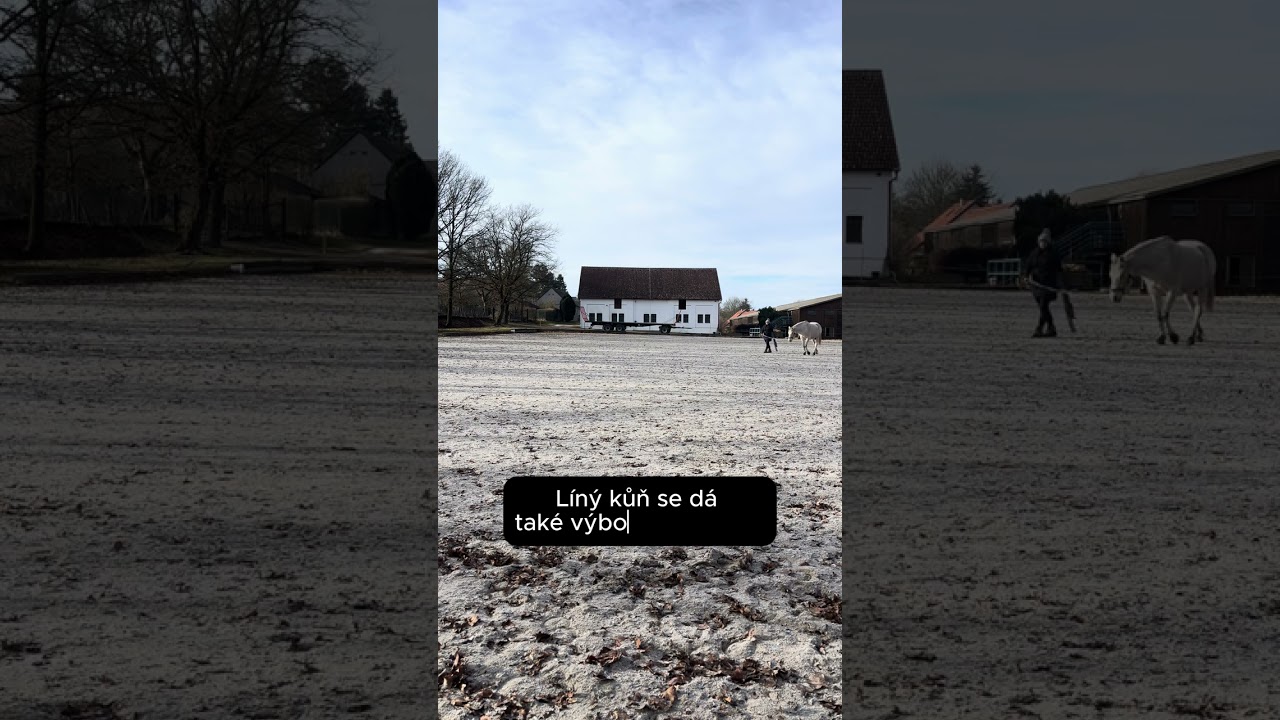Máte líného koně? Co s tím a jak s tím pracovat?