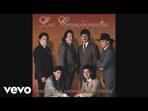 Los Caminantes - Cumbia del Sol (Cover Audio Video)
