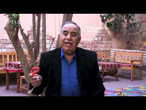 JIYANA DENGBÊJAN - SADIK YILMAZ