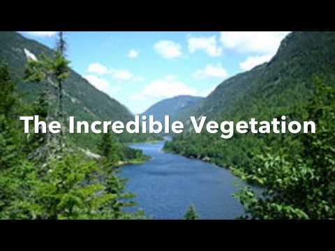 Hop: Ahad ,nabeera and masooma