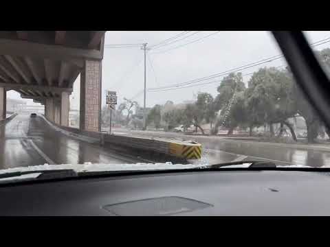 Soooo many trees down on the ride to work