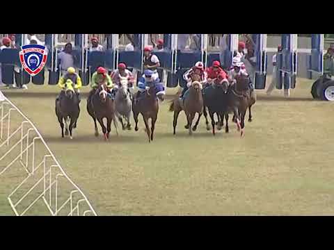 RM26 R4 - Opera Royal