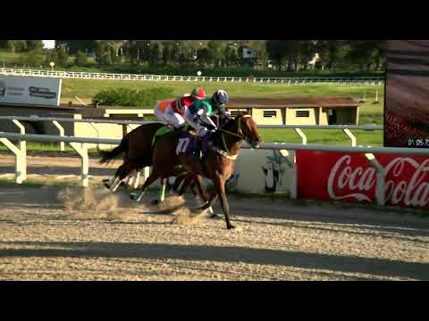 211015 c10 - BUONA NOTTE - HIPODROMO LAS PIEDRAS