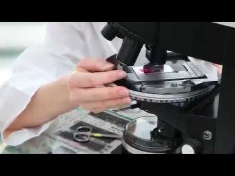 Cancer scientist Josep Llovet discusses research for a liver cancer cure.