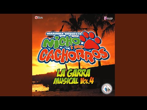 Mix Cachorros 8: Muchachita / Doce Rosas / Entrégate Toda