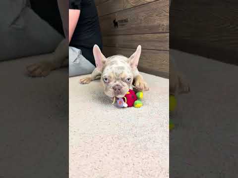 Video 2