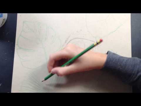 Leapord Eye Jungle Sketch