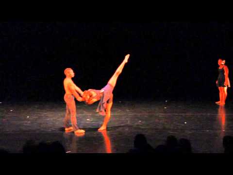 Seeking Contemporay/Ballet artist