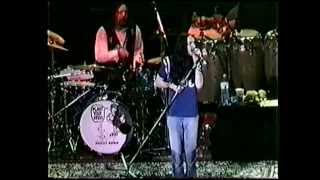 BLACK CROWES - SHE GIVES GOOD SUNFLOWER - CHAMPAIGNE AND REEFER