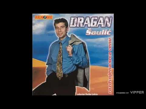 Dragan Saulic - Nosila je duge kose - (Audio 2001)