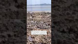 Download lagu Kota saranjana kalimantan #shorts #saranjana mp3 Download lagu Kota saranjana kalimantan #shorts #saranjana mp3