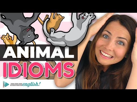 How To Use English Animal IDIOMS! 🐶🐱🐟