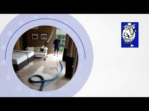 We are a professional carpet cleaning company with three decades of experience. We deliver only the best cleaning results. This is backed by our Institute of Inspection Cleaning and Restoration (IICRC) certification, WoolSafe accreditation and membership with SRCP, ISSA, RIA.

Call us on 1800 835 204 for free quotes, great deals and prices. Our professional team is on hand to help you between 8:30 am - 3:00 pm on weekdays

We serve areas in and around Ringwood, Healesville, Ferntree Gully, Wantirna, Wandin East, Knox, Yarra Ranges, Boroni, Mount Evelyn, Yarra Junction, Mooroolbark, Nillumbik, Monbulk, Melbourne, Manningham, and Croydon.