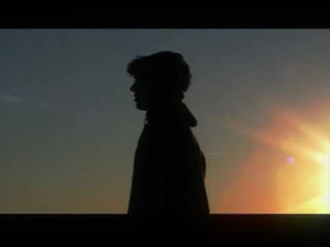 Todos los Días  -  Gatti