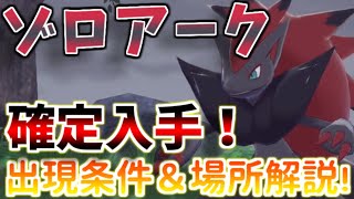 【鎧の孤島】確定出現！ゾロアークが欲しい人必見！！出現率100％でゾロアークに会う方法！【ポケモン剣盾】