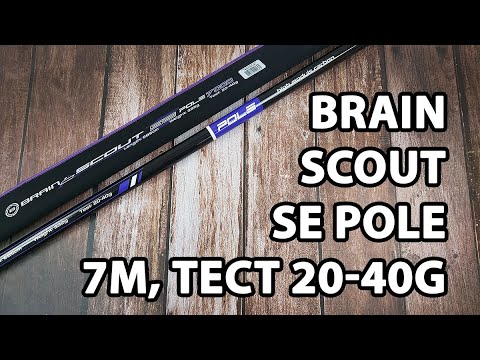 Махове вудилище Brain Scout SE Pole 7m, тест 20-40g (телескопічне, без кілець, з конектором) + чохол