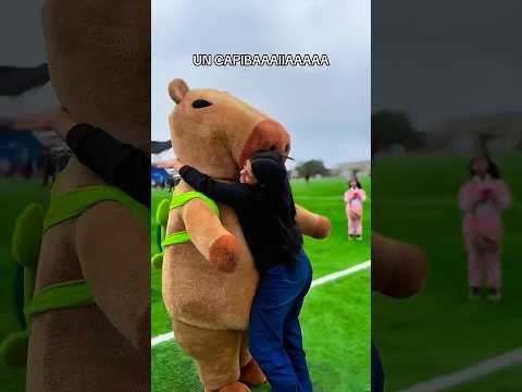 #capibara #capibaras #foryou