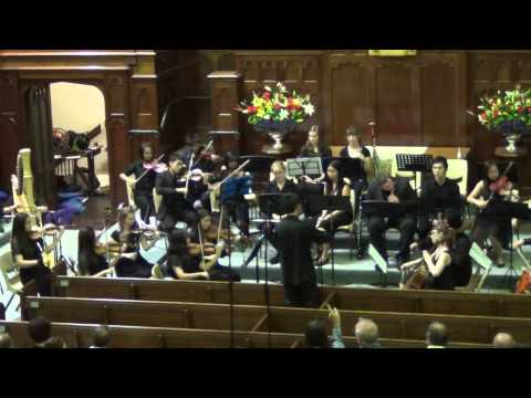 Cavalleria Rusticana (Intermezzo) -- P. Mascagni (VC5)