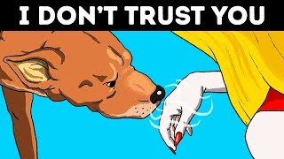 Scientists Confirm Dogs Can Recognize a Bad Person