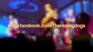 "Better Word" The Honeydogs