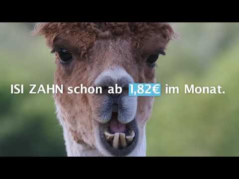 Video 1 SIGNAL IDUNA Versicherung Christian Geng - Versicherungsagentur