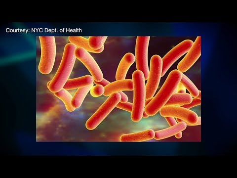 NYC Legionnaires’ Disease Cases
