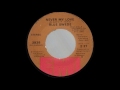1974 088 Blue Swede Never My Love 2 28 45