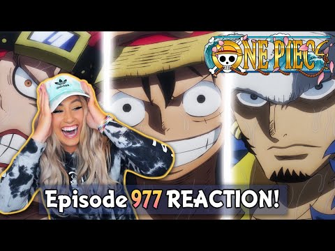 Kid Luffy And Law Bring The Heat To Onigashima One Piece Episode 977 Reaction Review Youtuberandom