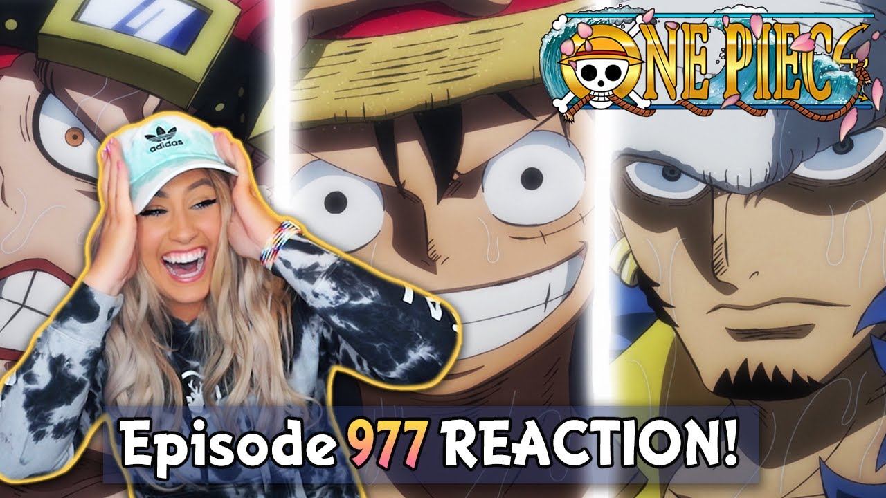 Kid Luffy And Law Bring The Heat To Onigashima One Piece Episode 977 Reaction Review Youtuberandom