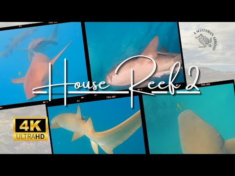 Videos del Cinnamon Hakuraa Huraa Maldives 4★ en Meemu Atoll, MaldivasVer MásVerPrecios20CerrarConsulta por Whatsapp 🇦🇷BookingTripadvisorExpediaAgodaTravelocityOrbitzPricelineTripSkyscannerDespegarKayakHotelesDestiniaTrivagoTurismocityLastminuteHotwireCheapticketsTuiWotif