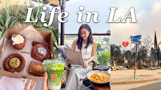 LA vlog: what life is like in Los Angeles, Koreatown food, before SoCal fires šš„