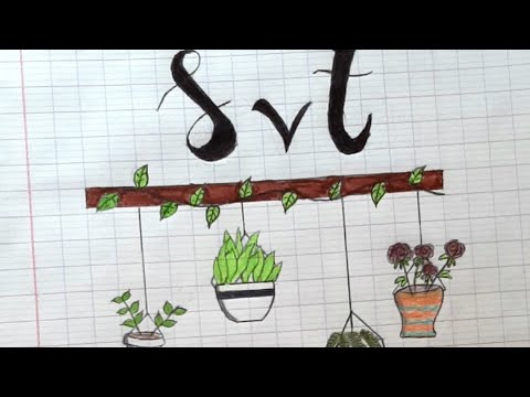 Comment organiser votre classeur (ou votre cahier) de SVT 🌿1AC