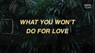 [Lyrics+Vietsub] Gus Dapperton - What You Won't Do For Love