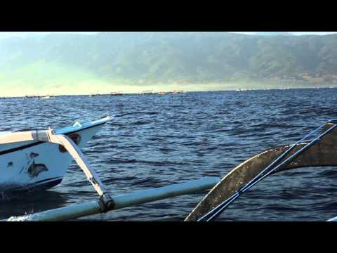 Lovina Bali - Dolphin Watching