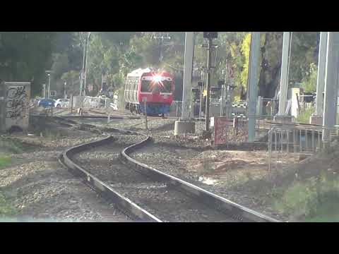 Metro train Adelaide (3104)(3133)