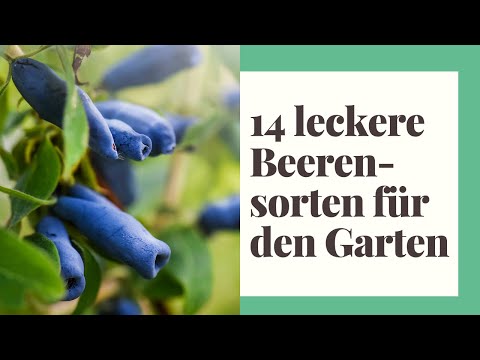 14 delicious berries that shouldn't be missing from your own garden