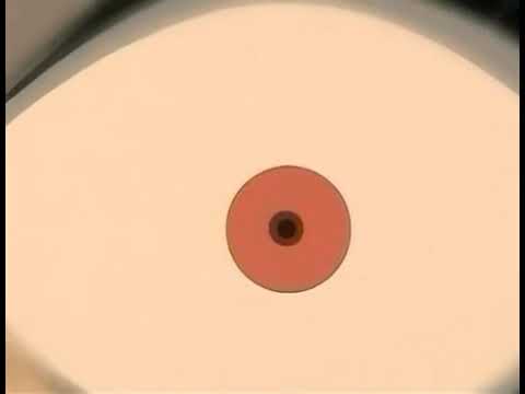 Marucho vs shadow prob and hydron