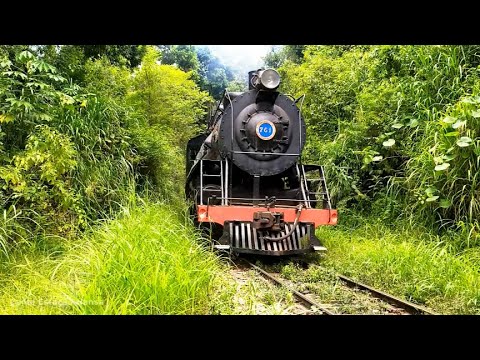 MARIA FUMAÇA 761 ENTRANDO NO TÚNEL N1 EM RIO NATAL | STEAM LOCOMOTIVE INSIDE THE TUNNEL 🇧🇷