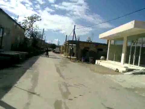 Sinan Shark   Motor Şov