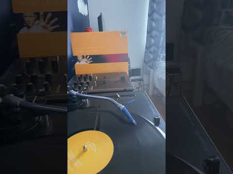 Porn kings v flip & fill-shake ya shimmy flip & fill mix vinyl recording 2001