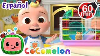 Thumbnail del capítulo