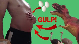 I swallowed a Dinosaur! 🦖 - Vore story