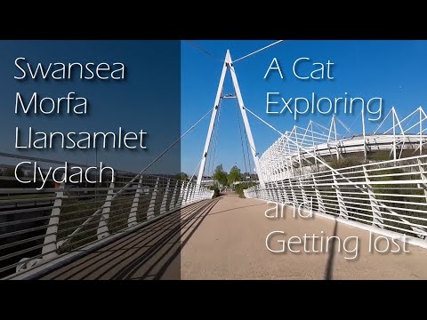 Swansea, Morfa, Llansamlet, Clydach - Cats, Exploring and Getting Lost