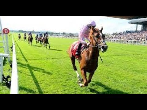 2019 UK Horse Racing _ Irish Derby _ Full Commentary