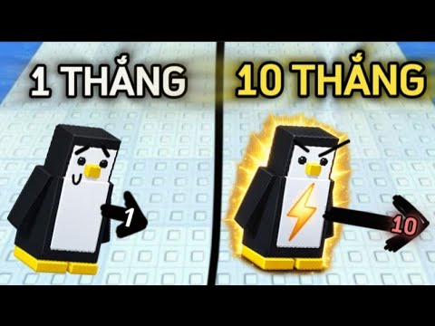 🐧 KNOCKOUT nhưng mình +1 SỨC MẠNH ĐẨY mỗi 1 lần THẮNG 🤑 | Roblox Knockout 
