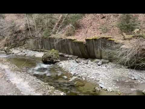 Cu bicicleta in Cheile Valsanului