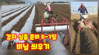 감자밭 비닐 씌우기 관리기로 두둑 만들기 비닐은 백색비닐 일명 투명비닐 충북 괴산 풀뿌리농장 석성수 [감자재…